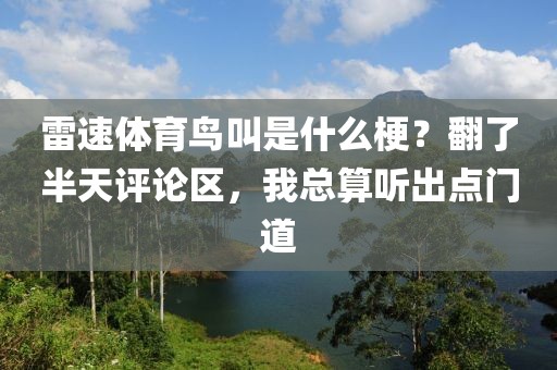 雷速体育鸟叫是什么梗？翻了半天评论区，我总算听出点门道