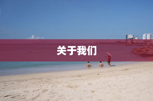 关于我们