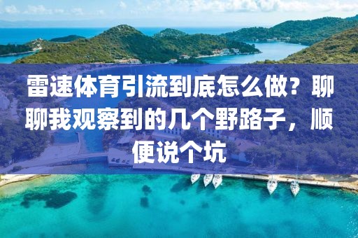雷速体育引流到底怎么做？聊聊我观察到的几个野路子，顺便说个坑