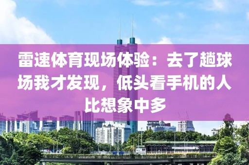 雷速体育现场体验:去了趟球场我才发现,低头看手机的人比想象中多