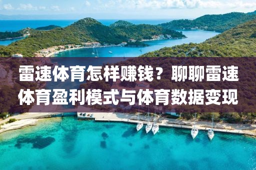 雷速体育怎样赚钱？聊聊雷速体育盈利模式与体育数据变现