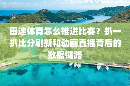雷速体育怎么推进比赛？扒一扒比分刷新和动画直播背后的数据链路