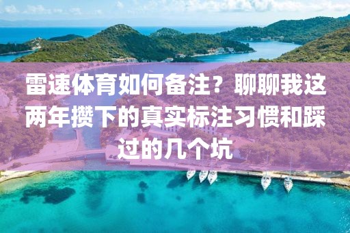 雷速体育如何备注？聊聊我这两年攒下的真实标注习惯和踩过的几个坑