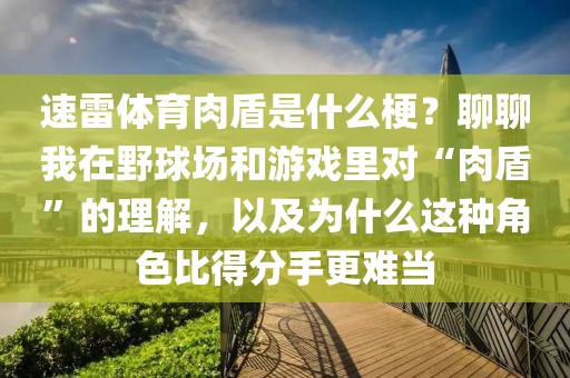 速雷体育肉盾是什么梗？聊聊我在野球场和游戏里对“肉盾”的理解，以及为什么这种角色比得分手更难当