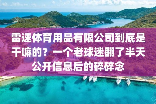 雷速体育用品有限公司到底是干嘛的？一个老球迷翻了半天公开信息后的碎碎念