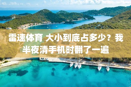 雷速体育 大小到底占多少？我半夜清手机时翻了一遍