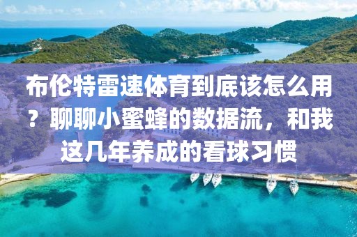 布伦特雷速体育到底该怎么用?聊聊小蜜蜂的数据流,和我这几年养成的看球习惯
